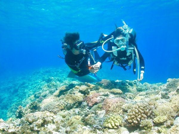 Advanced Open Water Diver Course Nha Trang